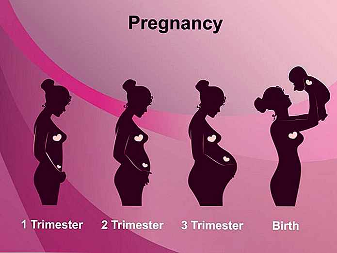 stages pregnancy 1st